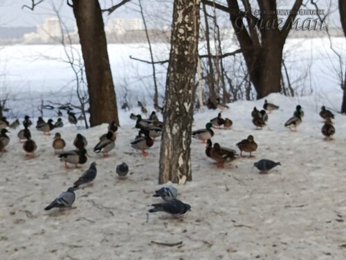 IMG_20260314_092625_529